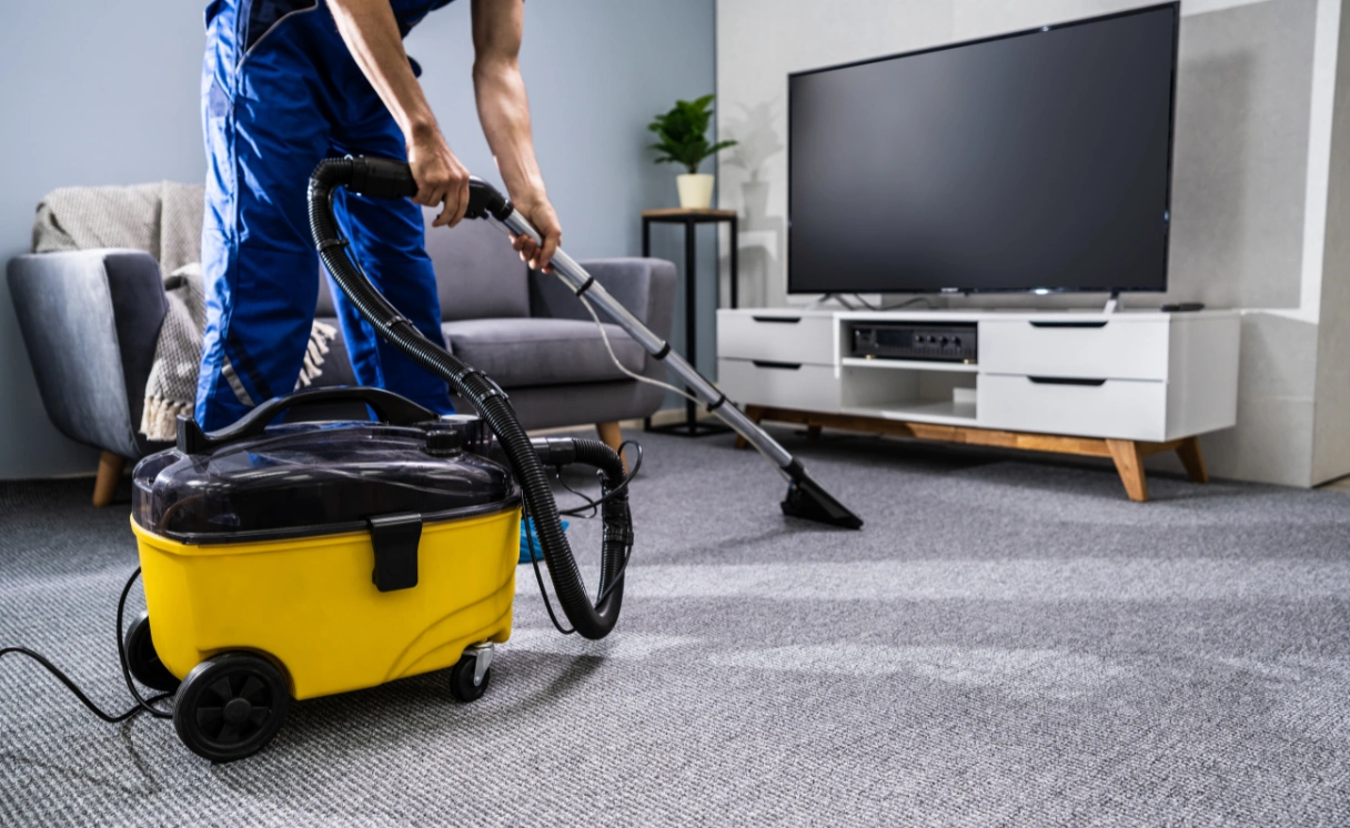 Extract Upholstery Cleaning Portsea Contact Office